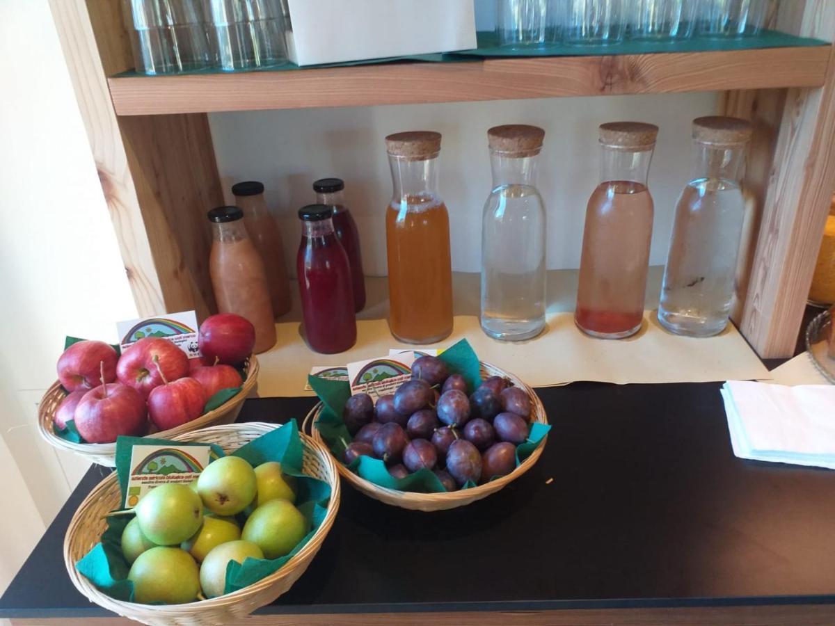 Bioagritur La Casa Dei Trajeri Villa Fai della Paganella Kültér fotó